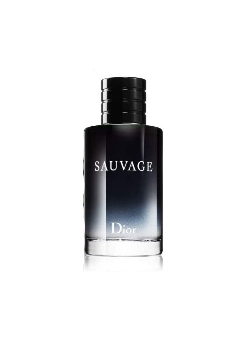 Savage Perfume - Eau de Toilette 100ml - pzsku/Z286EFDEEEE59249552A8Z/45/_/1683991599/c10a8007-1b50-490e-8e2e-99199c67dc57