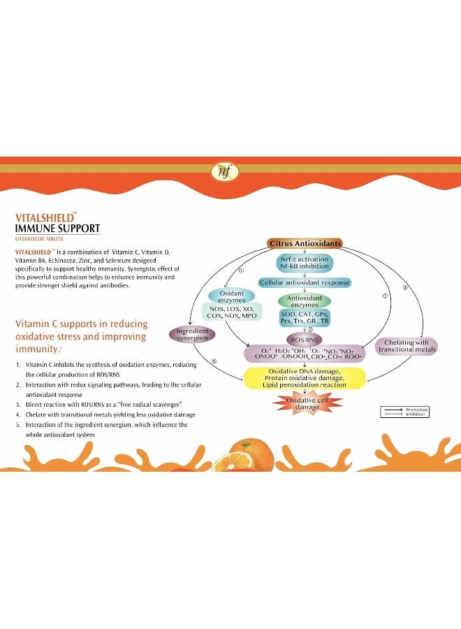 NATURAL FERVOR Vital Shield Immune Support (Orange) - Image 5