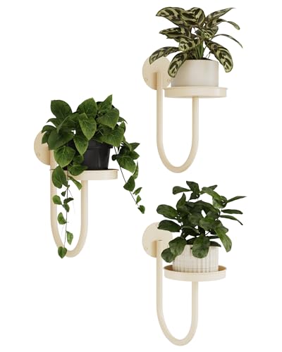 Bamworld Wall Plant Holder Wall Planters for Indoor Plants Plant Hanger Indoor Window Plant Shelves Hanging Plant Holder Window Plant Hanger Plant Decor White 3pcs - Image 1