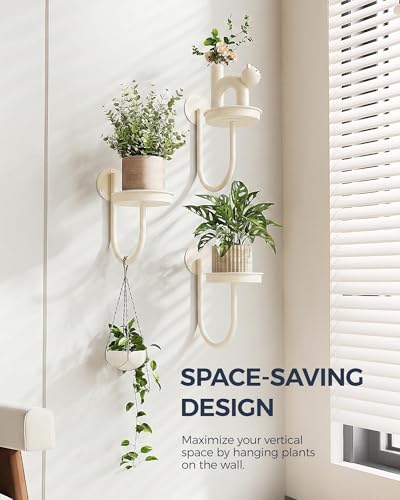 Bamworld Wall Plant Holder Wall Planters for Indoor Plants Plant Hanger Indoor Window Plant Shelves Hanging Plant Holder Window Plant Hanger Plant Decor White 3pcs - Image 3