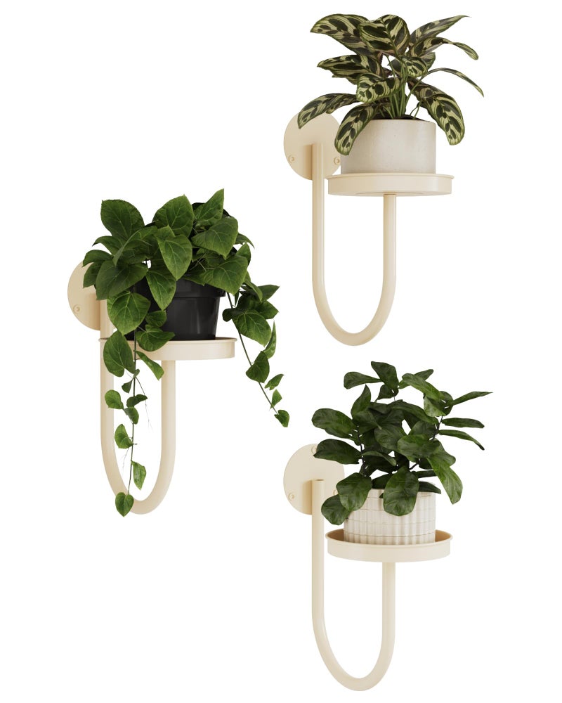 Bamworld Wall Plant Holder Wall Planters for Indoor Plants Plant Hanger Indoor Window Plant Shelves Hanging Plant Holder Window Plant Hanger Plant Decor White 3pcs - Image 2
