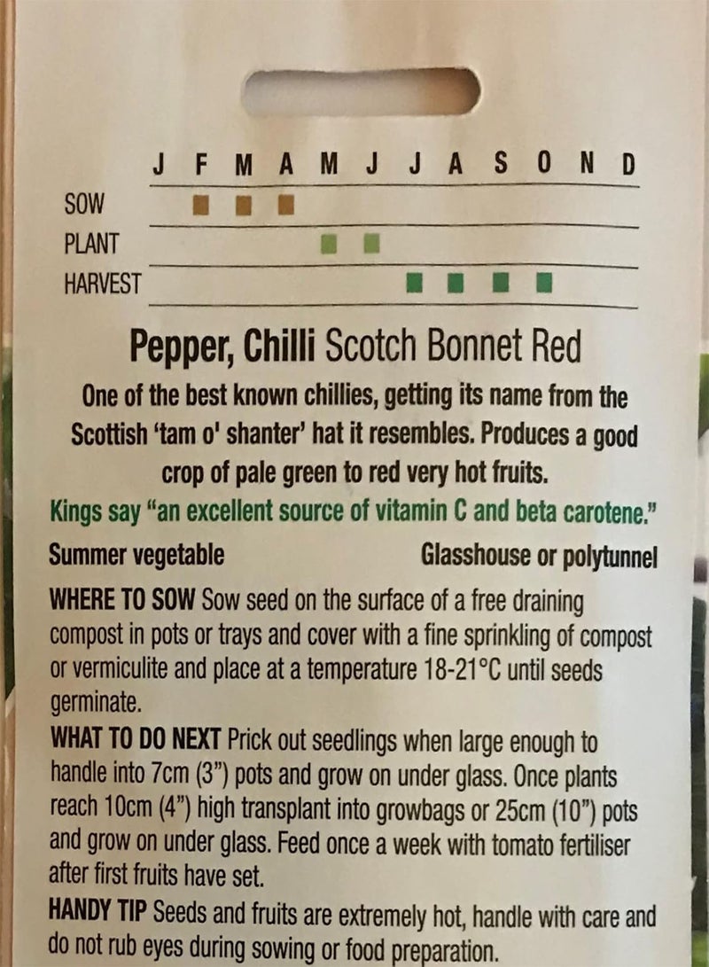 GGOOT Scotch Bonnet Chilli Pepper Seeds x 50  Very Hot - Image 3