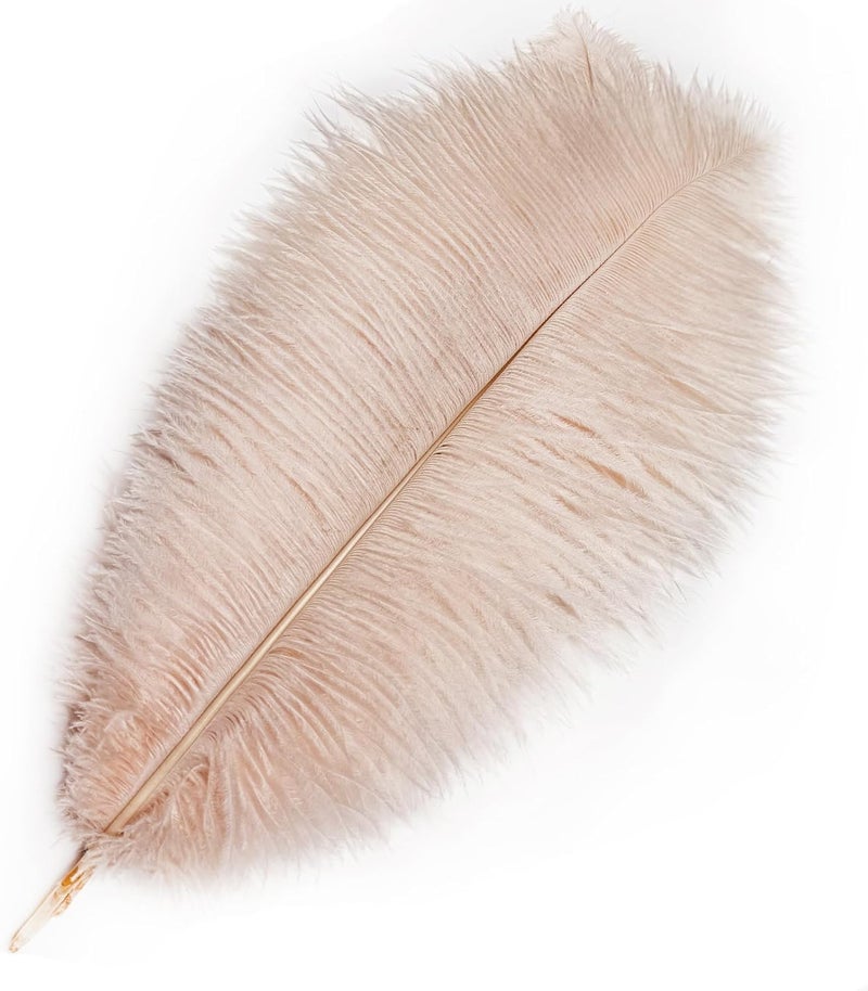 HAPPY FEATHER 16-18 inch Purple Ostrich Feathers Craft for Wedding Party Centerpieces Home Decoration DIY Craft Pack of 10-Champagne - Image 2