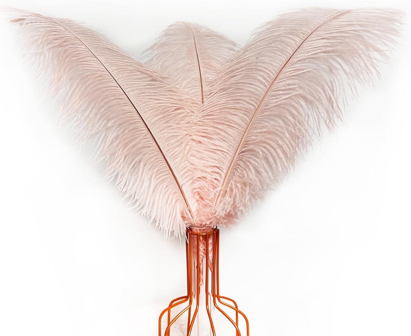 HAPPY FEATHER 16-18 inch Purple Ostrich Feathers Craft for Wedding Party Centerpieces Home Decoration DIY Craft Pack of 10-Champagne - Image 1