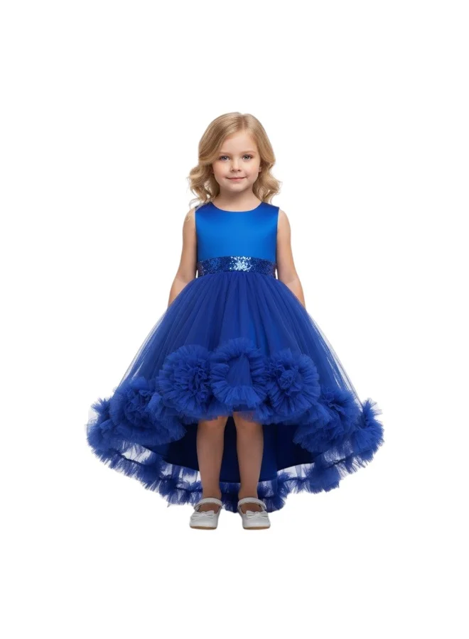 Bidani Royal  Blue Bloom Frock