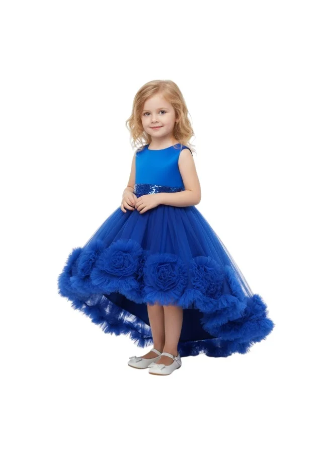 Bidani Royal  Blue Bloom Frock