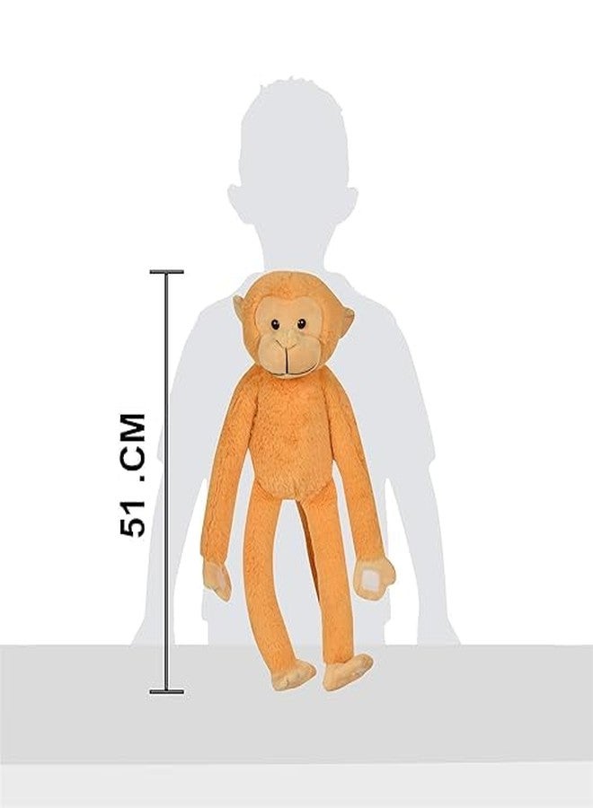 Fun4you Soft Monkey Toy | Cute Animal Plush Toy for Kids | Washable Cuddly Soft Toy | Huggable Stuffed Monkey | Birthday Gift Soft Toy for Boys & Girls | Baby Soft Toys for Nursery Décor - Image 2