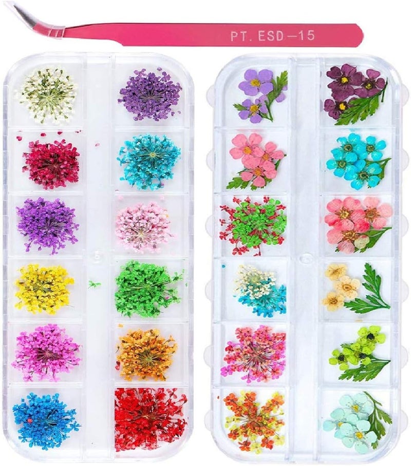 2 Boxes Nail Art Dried Flowers,UNIME 24 Colors Dry Flowers Mini Real Natural Flowers Nail Art Supplies 3D Applique Nail Decoration Sticker for Tips Manicure Decor Accessories,Gypsophila Flowers