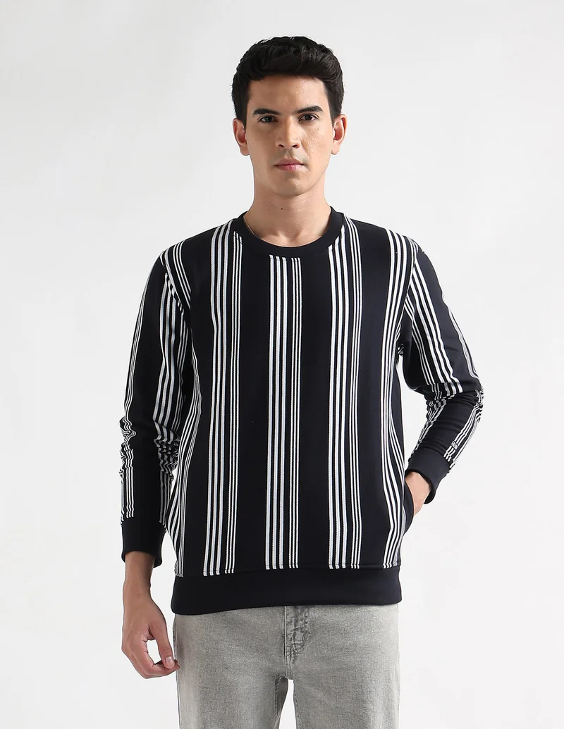 Arrow Vertical Striped Regular Fit Sweatshirt