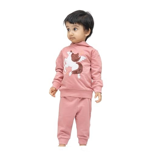 ARIEL Kids Cotton Fleece Full Sleeve Hoodie Sweatshirt & Sweatpant Clothing Set for Girls (ROSEWHTHORSE_12-18 month) - Image 2