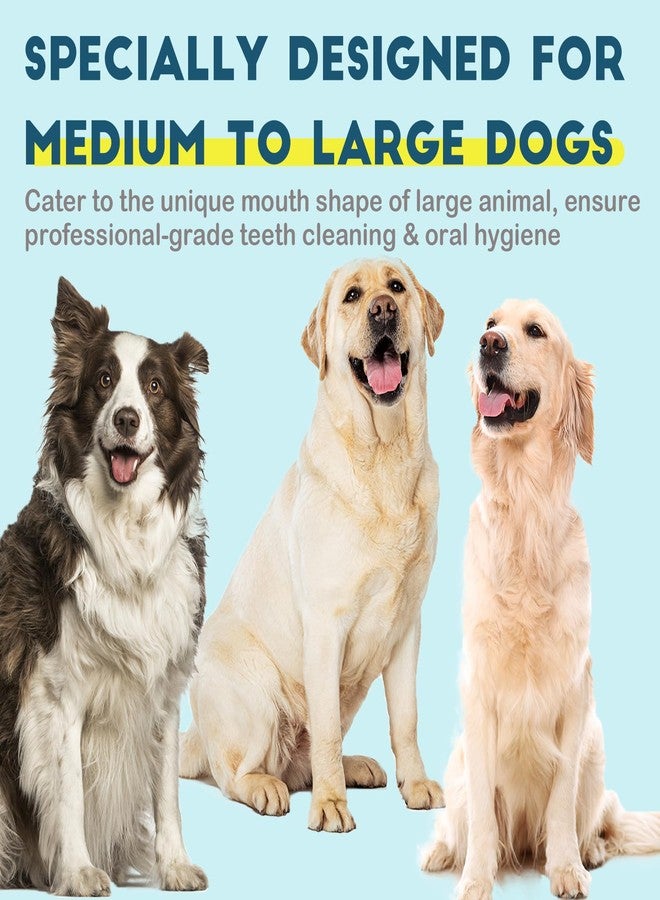 MoonyMars Dog Toothbrush Kit 4 Pack, Ultra Soft Dog Tooth Brush for Medium to Large Dogs & Cats, Pet Tooth Brushing Kit for Easy Dental Cleaning, Soft Bristles, 2 Green Wave Head & 2 White Flat Head - Image 3