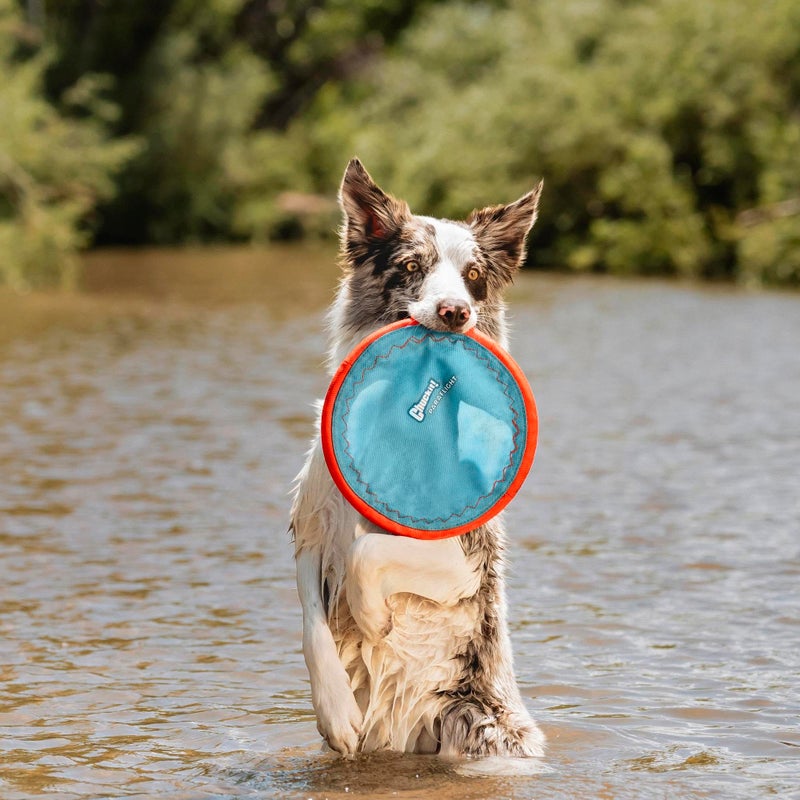 Chuckit! Paraflight Flying Disc Dog Toy - Water Floating Flyer - Durable Nylon Construction with Soft Rubber Edges - For Medium and Large Dogs - Size Large - 9.75" L x 9.75" W - Pack of 1 - Image 2