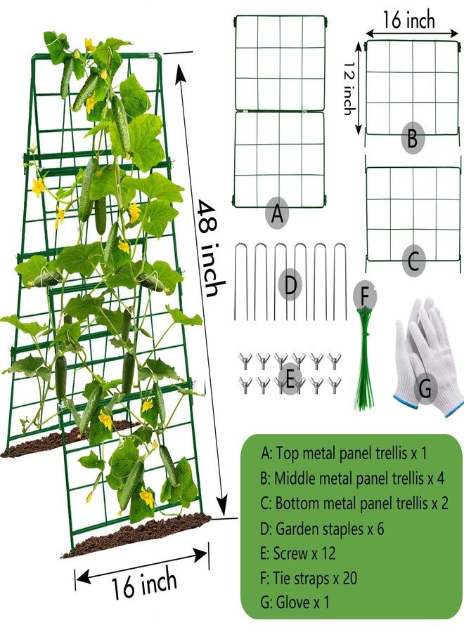 MINGRI Cucumber Trellis, Foldable Frame Metal Garden Trellis, Outdoor Plant Support Tower for Raised Bed Climbing Plants, Vegetables, Peas, Fruit, Vine - Image 3