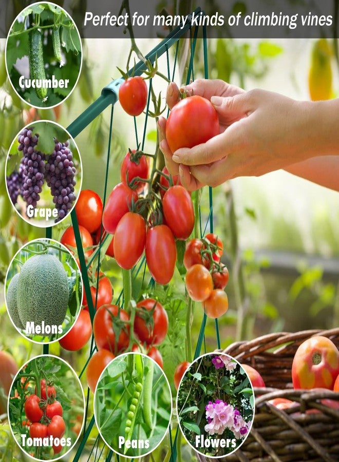 MINGRI Cucumber Trellis, Foldable Frame Metal Garden Trellis, Outdoor Plant Support Tower for Raised Bed Climbing Plants, Vegetables, Peas, Fruit, Vine - Image 2