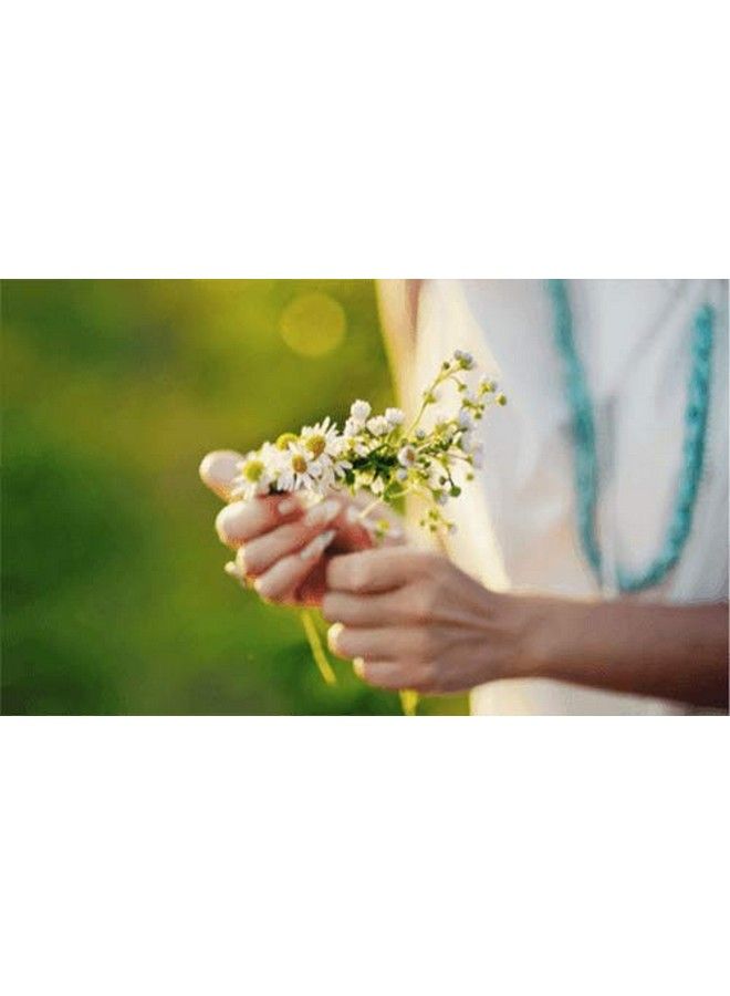 Kamill كريم اليدين والأظافر الكلاسيكي 3X100 مل مع البابونج الحيوي والبيسابولول : ألمانيا - Image 3