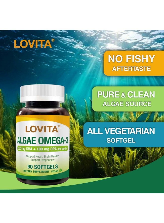 Lovita لوفيتا أوميغا-3 من الطحالب، DHA و DPA نباتي وقائم على النباتات، بديل زيت السمك، 1000 ملغ زيت الطحالب، يدعم صحة القلب والدماغ، خالي من الكاراجينان، 90 كبسولة لينة - Image 2