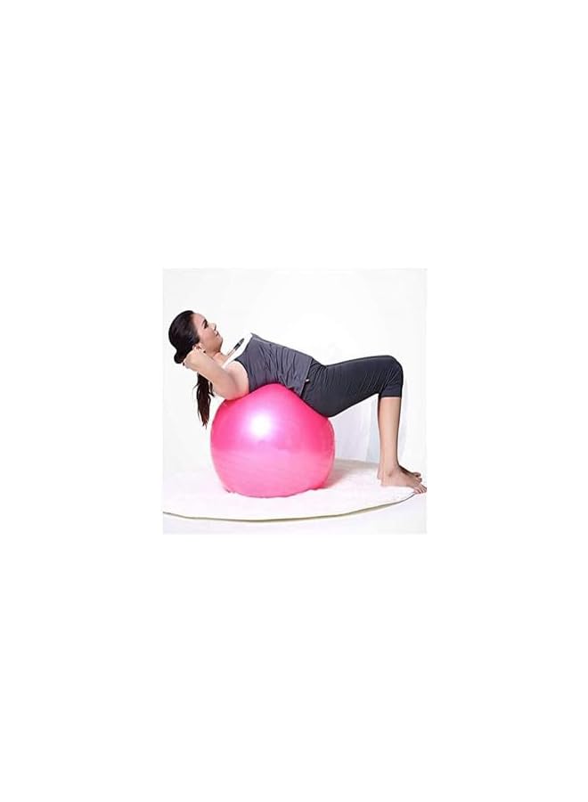 PROMASS Yoga Ball Anti-Burst, 65Cm Exercise Ball With Air Pump Thickened Stability Balance Ball For Physical Fitness Exercise Pink  - Image 4