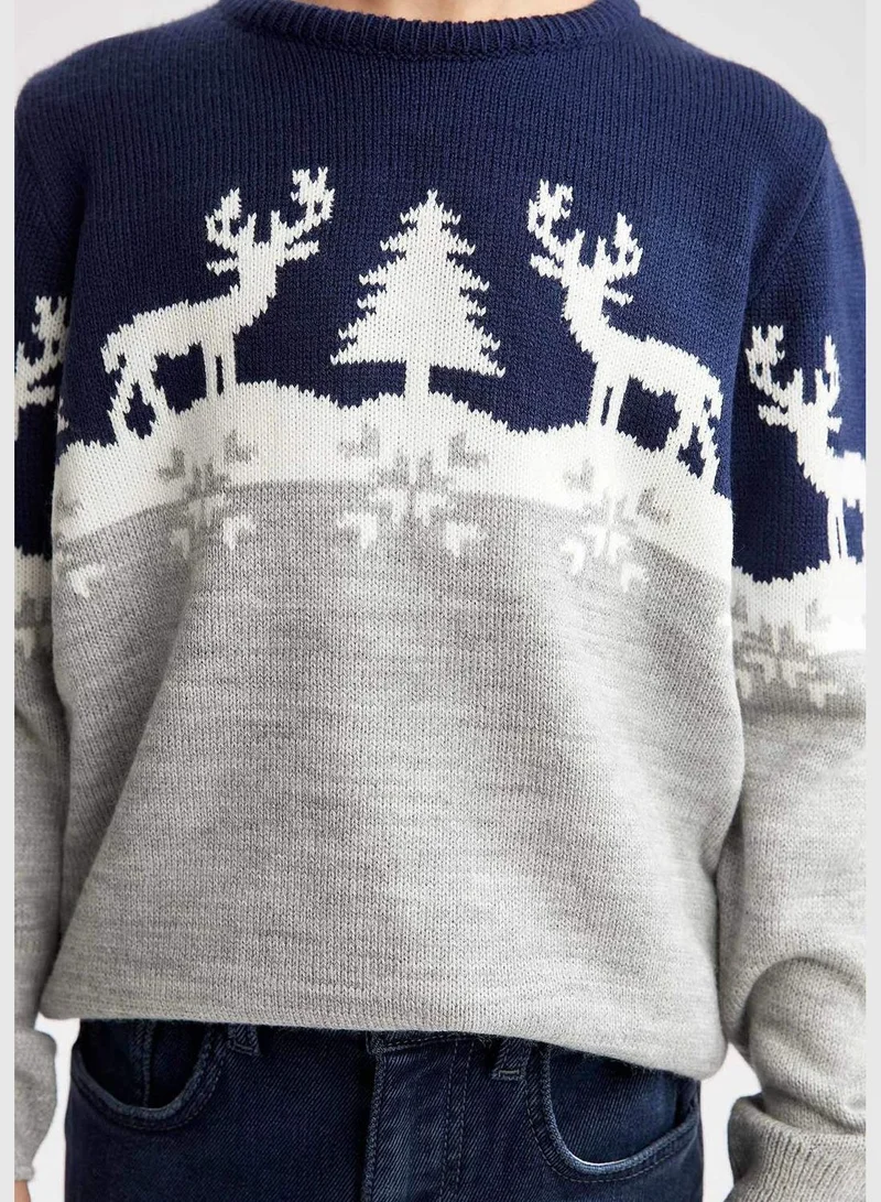 DeFacto Boy Regular Fit Pullover