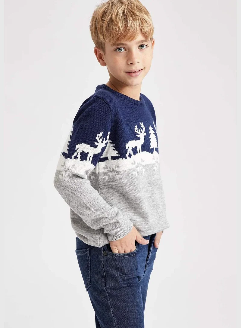 DeFacto Boy Regular Fit Pullover