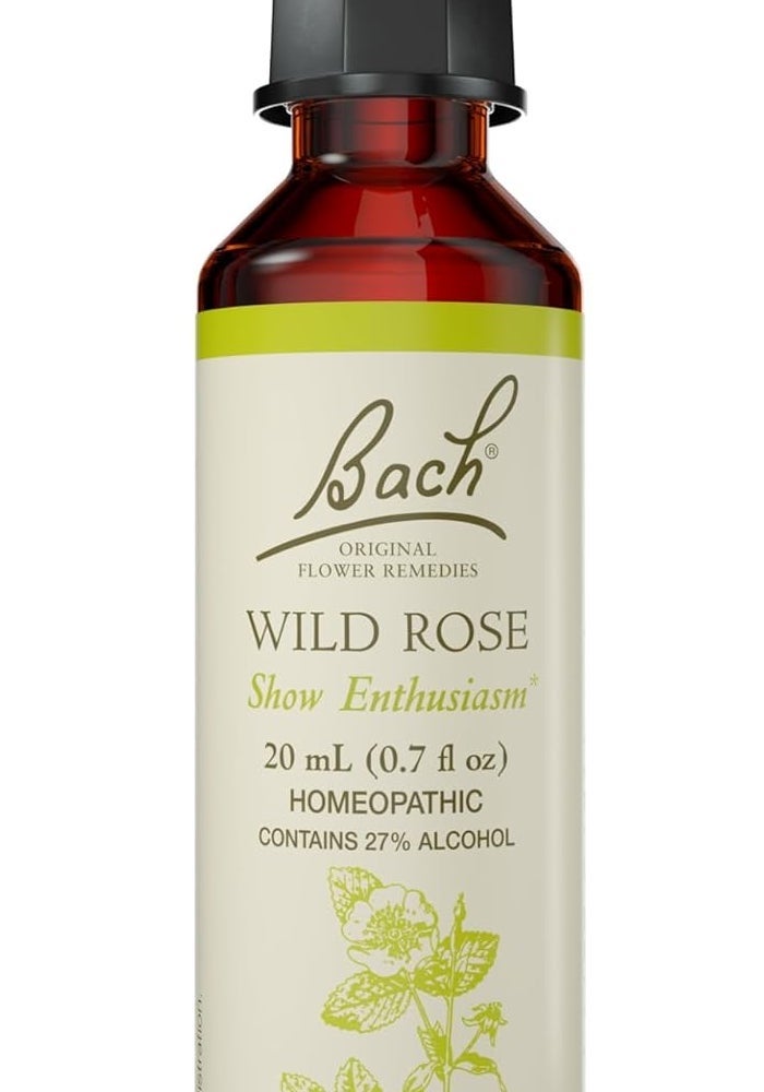 Bach علاج باخ الأصلي لزهور الورد البري - 20 مل قطارة هوميوباتية للحمس - Image 1