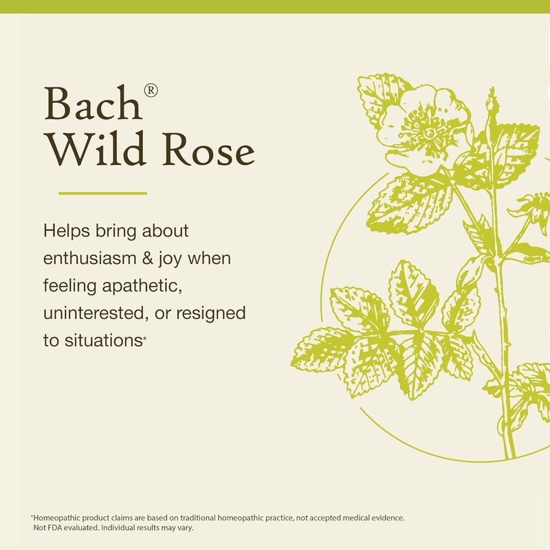 Bach علاج باخ الأصلي لزهور الورد البري - 20 مل قطارة هوميوباتية للحمس - Image 3