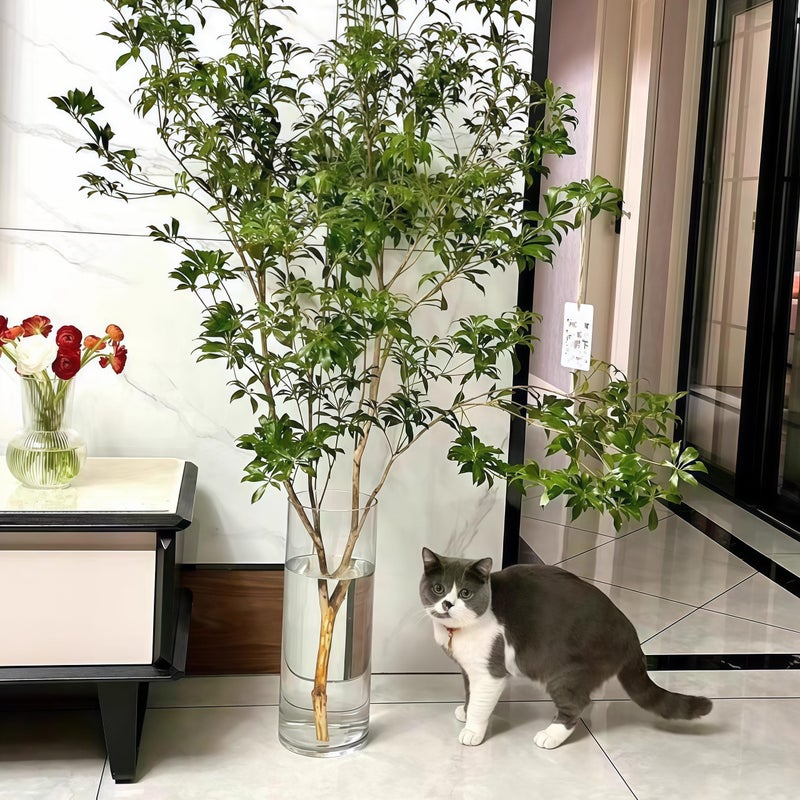 Liotww Extra Large Acrylic Cylinder Clear Vase for Floor, 20 in Tall Big Wide Mouth Plastic Unbreakable Hurricane Flower Vases of 3 for Home Decor (D 8", D 6", D 4.8" + 2 Holder) - Image 5