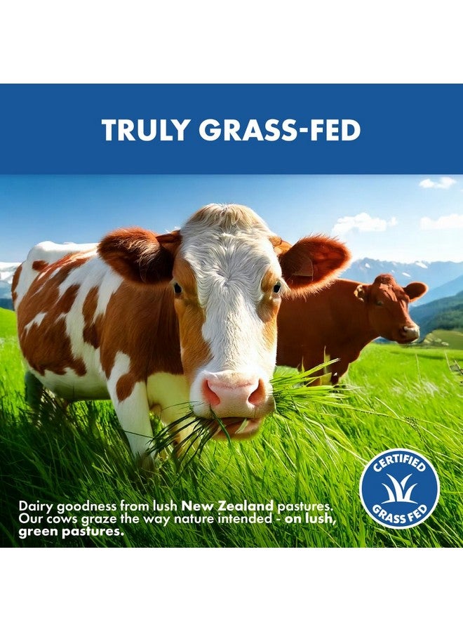 Opportuniteas Grass Fed Whey Protein Powder Concentrate - Chocolate - Pure Protein Supplement - Non GMO, Hormone Free & Gluten Free - 1lb - Image 3