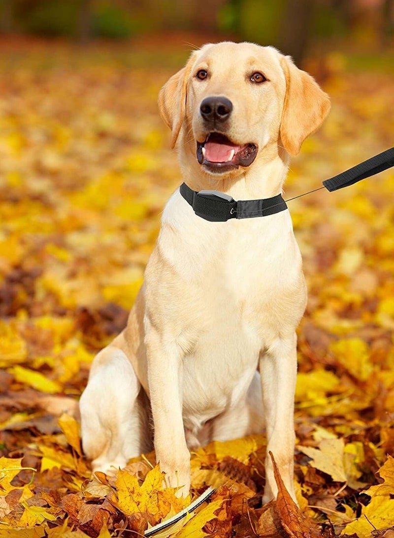 🦮طوق قابل للسحب 2 في 1، طوق مغناطيسي 🧲 للكلاب والقطط والحيوانات الأليفة - Image 4