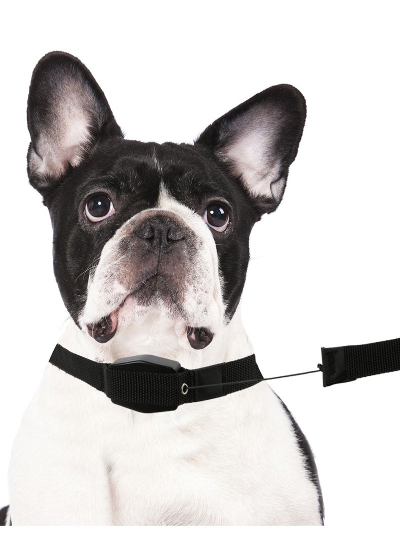 🦮طوق قابل للسحب 2 في 1، طوق مغناطيسي 🧲 للكلاب والقطط والحيوانات الأليفة - Image 3