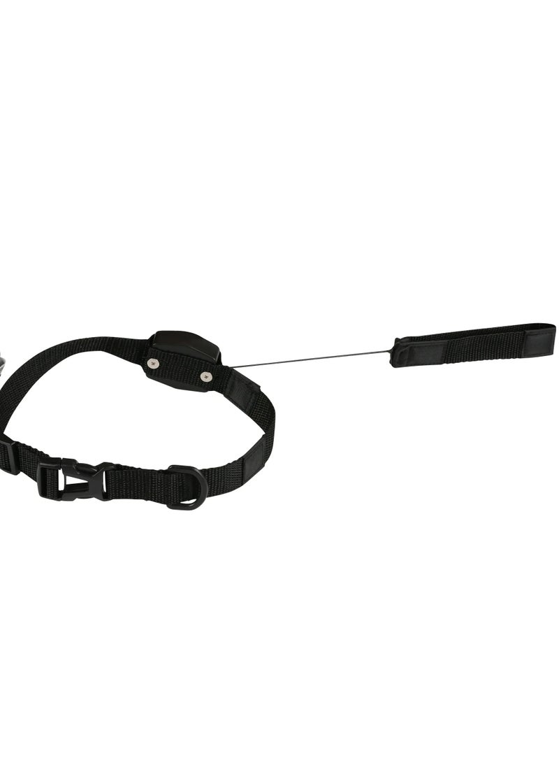 🦮طوق قابل للسحب 2 في 1، طوق مغناطيسي 🧲 للكلاب والقطط والحيوانات الأليفة - Image 5