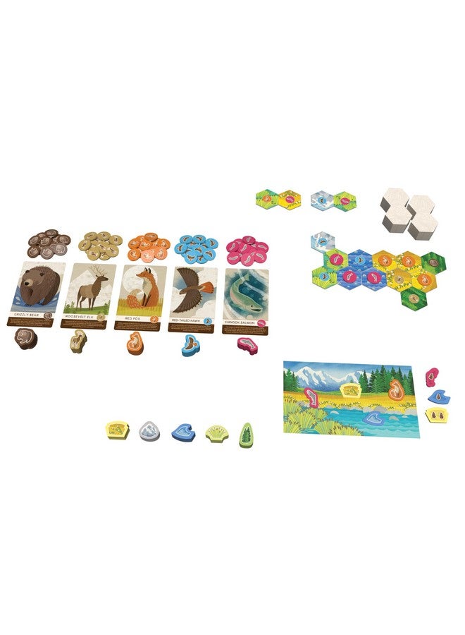 AEG Games AEG & Flatout Games | Cascadia Junior - Based on The Award-Winning Board Game, Cascadia | 2-4 Players | Ages 6+ | Easy to Learn | Quick to Play | - Image 5