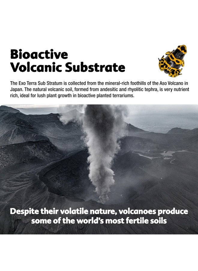 Exo Terra Exo Terra Sub Stratum, Bioactive Volcanic Substrate for Reptile Terrariums, Eliminates Odor, Offers Correct Moisture Levels 4.4 lb  - Image 3