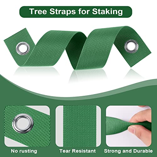 Jevrench 12 PCS Tree Straps for Staking, Tree Support Straps for Guying Staking Newly Planted Sapling Straight and Hurricane Protection, Heavy Duty Tree Stake Straps for Straightening - Image 4