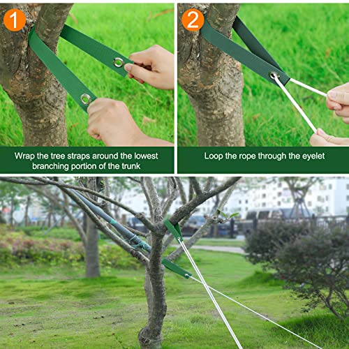 Jevrench 12 PCS Tree Straps for Staking, Tree Support Straps for Guying Staking Newly Planted Sapling Straight and Hurricane Protection, Heavy Duty Tree Stake Straps for Straightening - Image 5