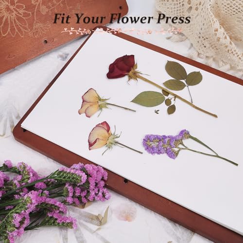 Aboofx 20 Sheets Blotting Paper for Flower Press, Large 15 x 10 inch A4 Highly Absorbent and Reusable Blotter Papers for Flower Press Herbarium Craft Blotter Paper Sheets Papers Craft Supplies - Image 5