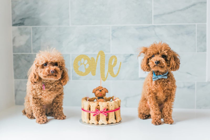 AHAORAY Paw Print One Cake Topper - Gold Glitter Pet Dog First Birthday Cake Decorations Supplies - Pet Puppy Theme Party Cake Decor  for Pet Birthday Party  Baby Shower Favors or Photo Booth Props - Image 5