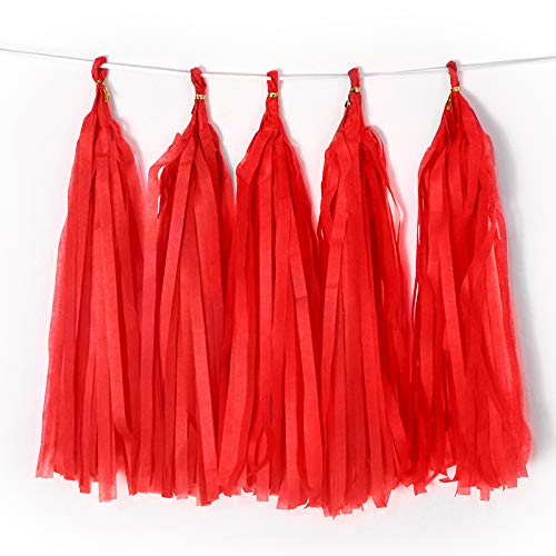 Binpeng Red Tissue Paper Tassel DIY Hanging Paper Decorations Party Garland for Party Decor, Wedding, Festival, Baby Shower - 20PCS (DEEP RED 35CM) - Image 1