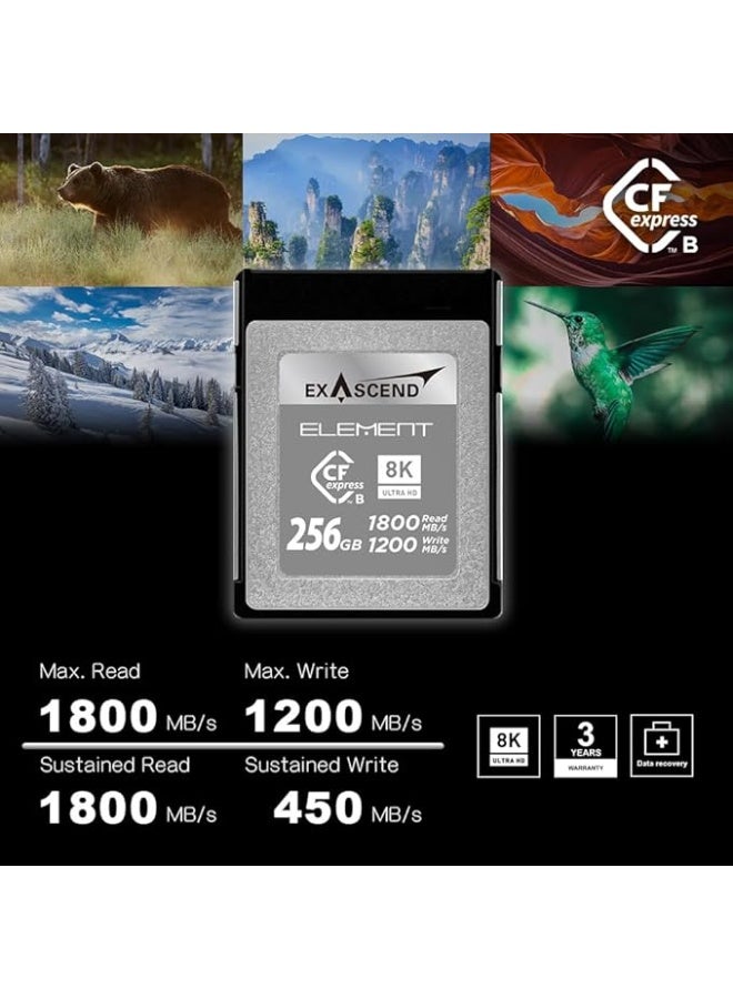 Exascend  Element 256GB CFexpress Type B Memory Card - Image 2