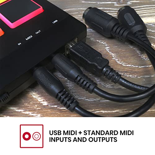 AKAI Professional MPX8 - وحدة تحكم لوحات العينات المحمولة مع 8 لوحات حساسة للسرعة جاهزة للأداء، اتصال MIDI وفتحة بطاقة SD مدمجة - Image 5