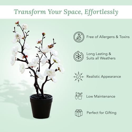 Ekhasa Nostrae Cherry Blossom Artificial Flowers with Vase Pot for Home Decor (34 CM Total Height, 23 Flower Heads) | Guldasta Flower Pots with Artificial Flower for Living Room, Bedroom, Office - Image 3