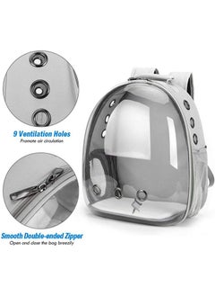 Kidle Double Shoulder Acrylic Transparent Cat Backpack Bag For Going Out  - Image 3