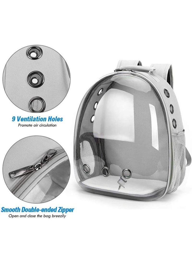 Kidle Double Shoulder Acrylic Transparent Cat Backpack Bag For Going Out  - Image 3
