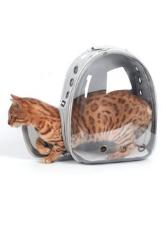 Kidle Double Shoulder Acrylic Transparent Cat Backpack Bag For Going Out  - Image 1