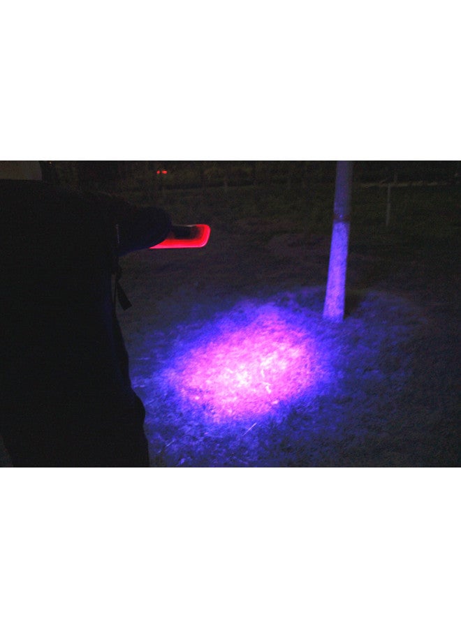 Scorpion Lamp Breeding Special Purple Light Flashlight Scorpion With Bean Worm Strong Light Charging Portable 3000 Meters Lighting-Product Specifications:7 Rows Of 96 Lamp Beads White Light + Purple Light With Tweezers For 30 Hours  - Image 2
