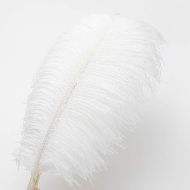 Ballinger 24pcs Natural White Ostrich Feathers 10-12inch (25-30cm) for Wedding Party Centerpiecesï¼ŒFlower Arrangement and Home Decoration. - Image 3