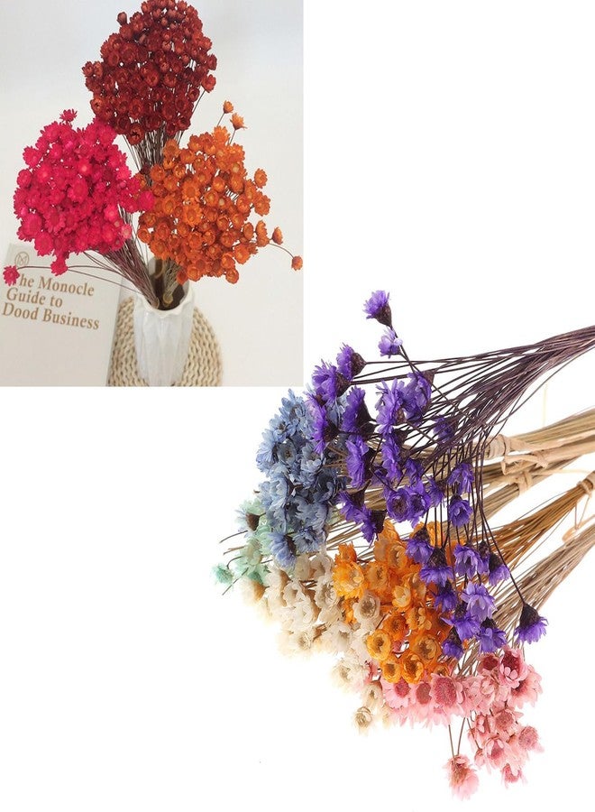 hobbyme 300PCS Dried Flowers Brazilian Small Star Daisy, 15" Decorative Natural Mini Chamomile Bouquet, Floral Arrangements for Wedding Party Home Decor, Dried Flowers Bundles for DIY Craft - Image 3