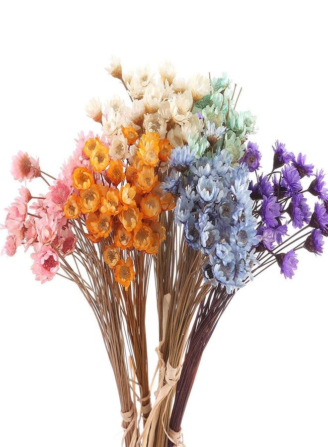 hobbyme 300PCS Dried Flowers Brazilian Small Star Daisy, 15" Decorative Natural Mini Chamomile Bouquet, Floral Arrangements for Wedding Party Home Decor, Dried Flowers Bundles for DIY Craft - Image 1