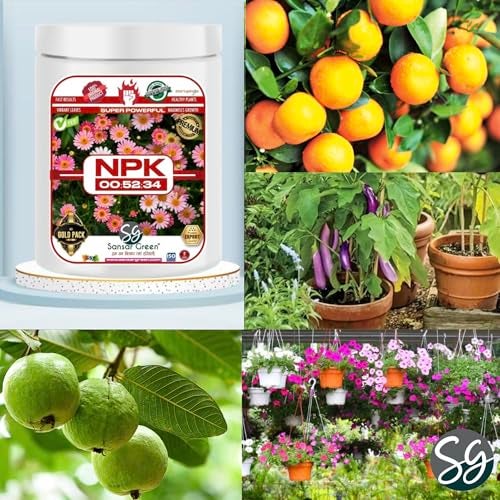 Sansar Green Npk 00:52:34 Granule For Plants (200 Gm) - Image 5