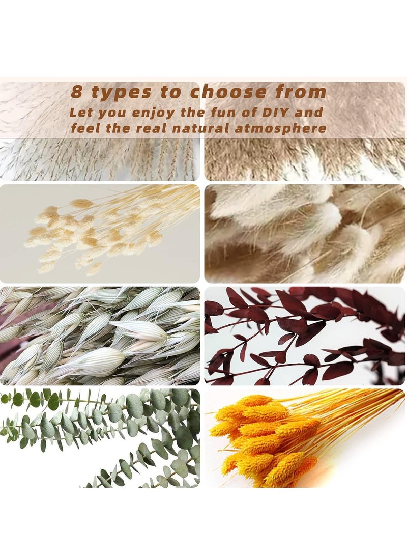 KASTWAVE Natural Dried Pampas Grass, Boho Decor Fluffy White Pompous Grass Large Reed Bunny Tail Wheat Stalk Decorative Plumes Italian Ruscus Solidago Goldenrod Flower Bouquet  - Image 5