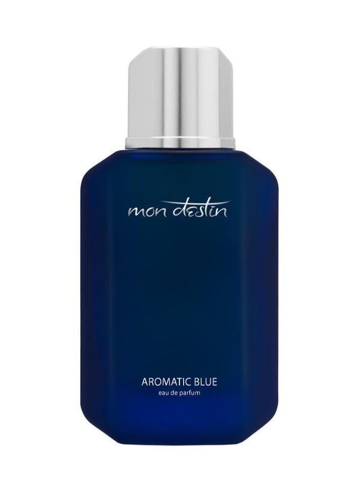 Mon Destin - Mon Destin Aromatic Blue EDP Inspired by Chanel Bleu For Men Eau De Parfum 100ml - Image 1